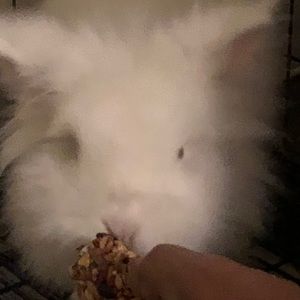 Meet your Posher, Vicente